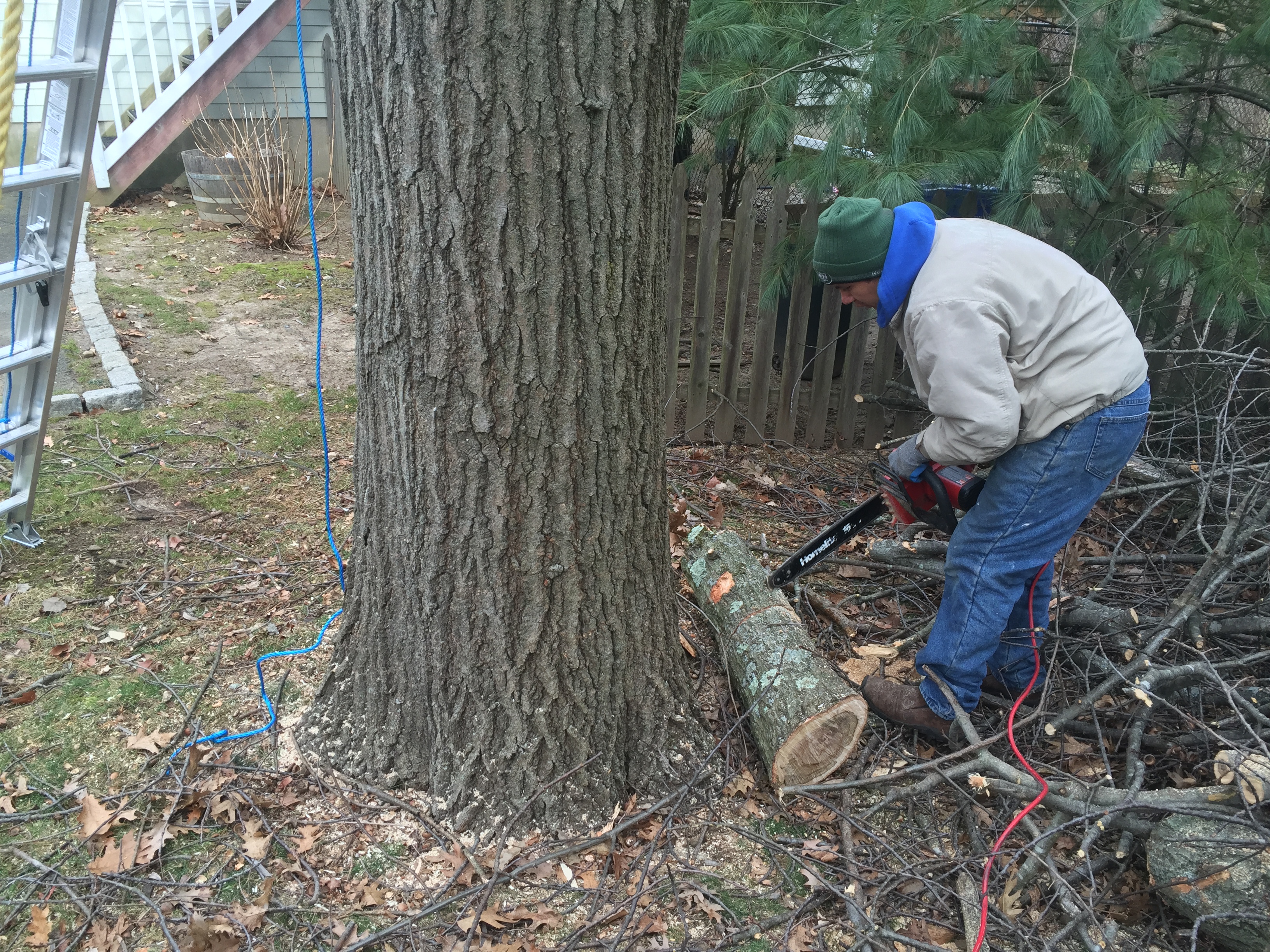 Tree Removal-Darien